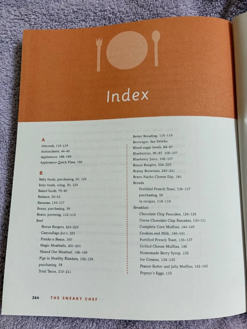 The Sneaky Chef Cookbook